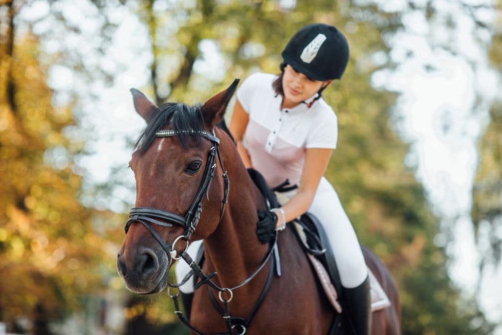 Devenir moniteur équitation auto entrepreneur